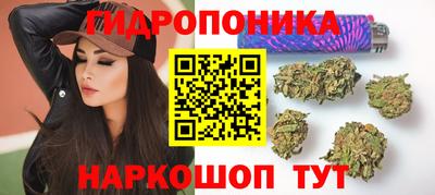 мдма Кингисепп