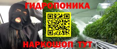 гашик Канаш