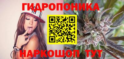 крисы Камышлов