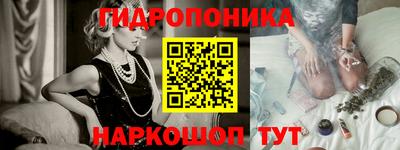 гашик Канаш