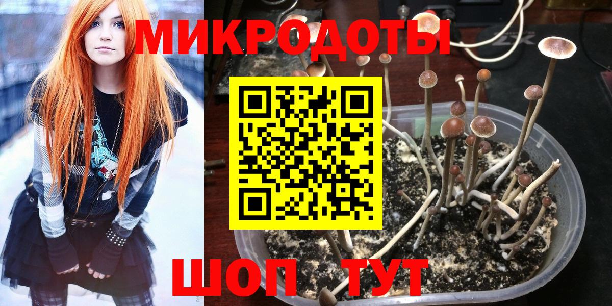 МЕТАДОН Вологда
