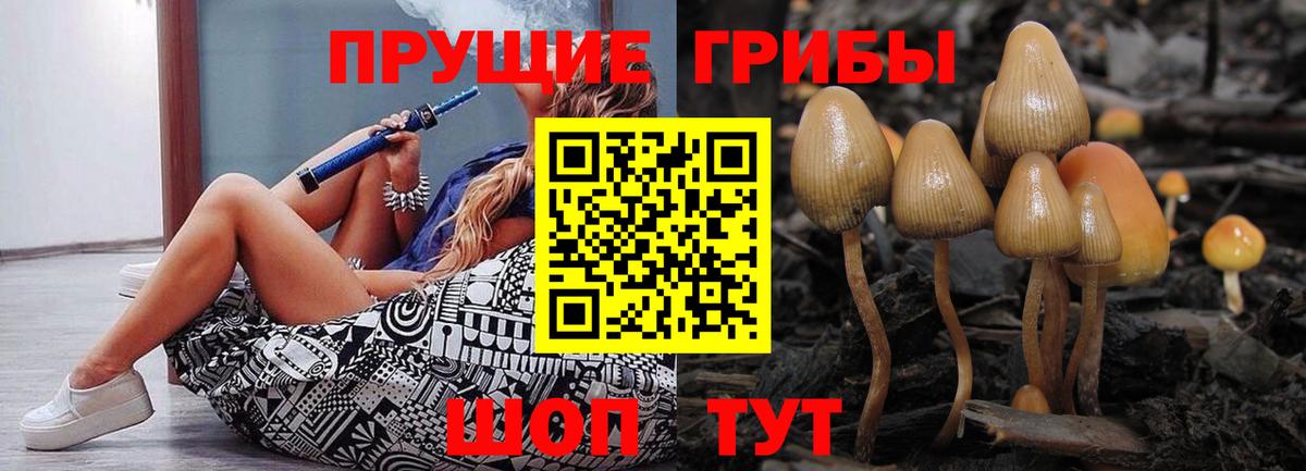 Вологда  Галлюциногенные грибы Psilocybine cubensis  Вход с VPN 